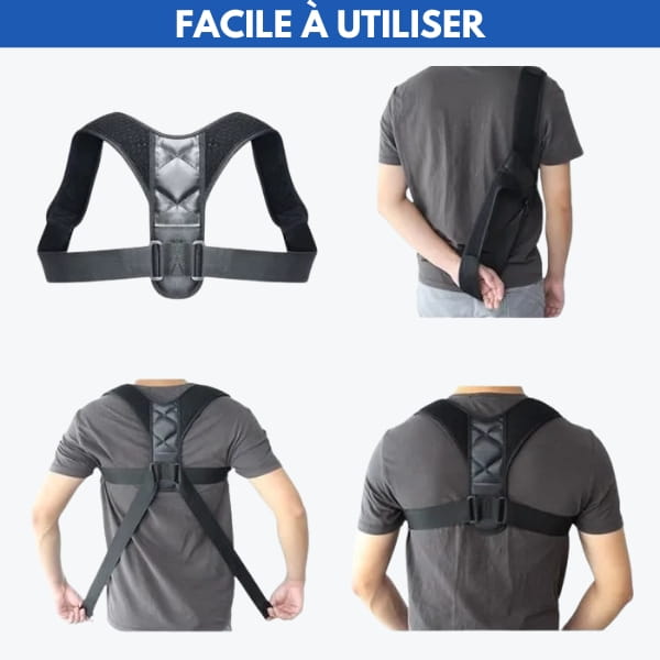 bosse de bison correction