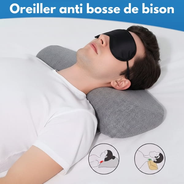 bosse de bison oreiller
