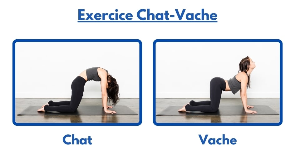 exercice pour soulager douleur coccyx