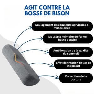 oreiller anti bosse de bison