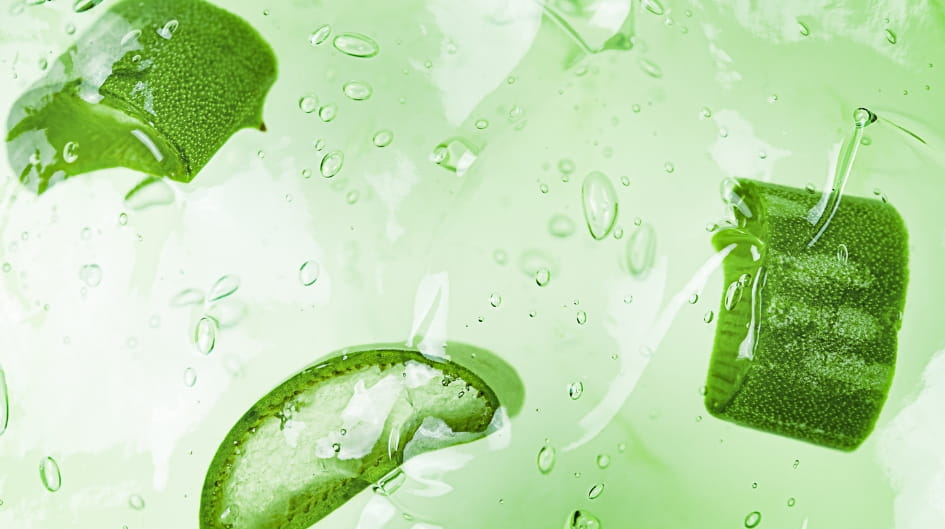 aloe vera kyste pilonidal